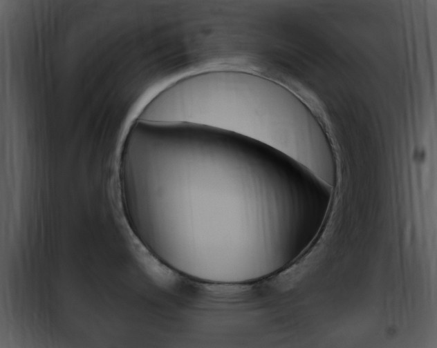 X0000101981200200807180753