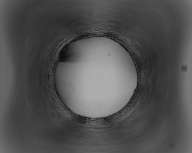 X0000101981201200807180752