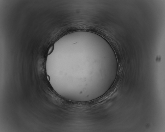 X0000101981202200807180752