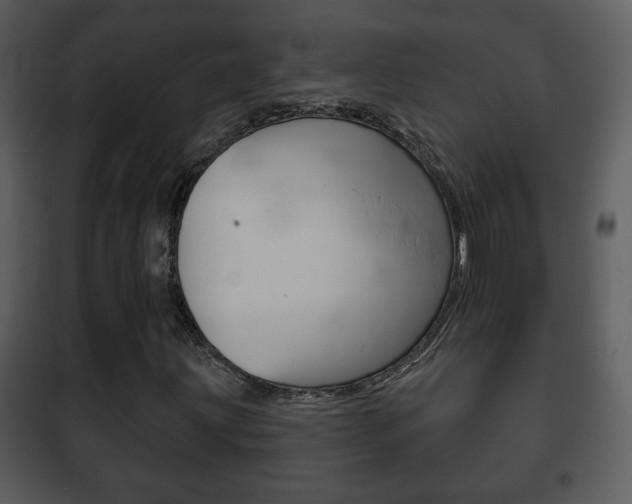 X0000101981203200807180752