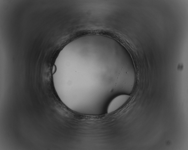 X0000101981204200807180752