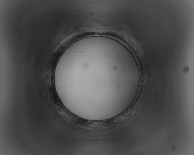 X0000101981205200807180752