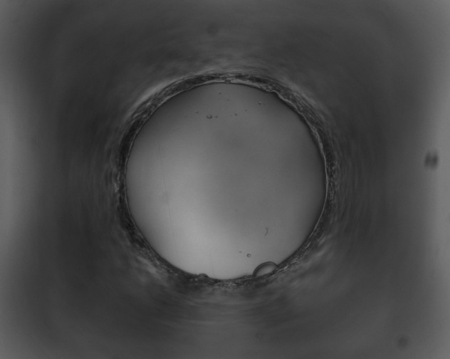 X0000101981206200807180752