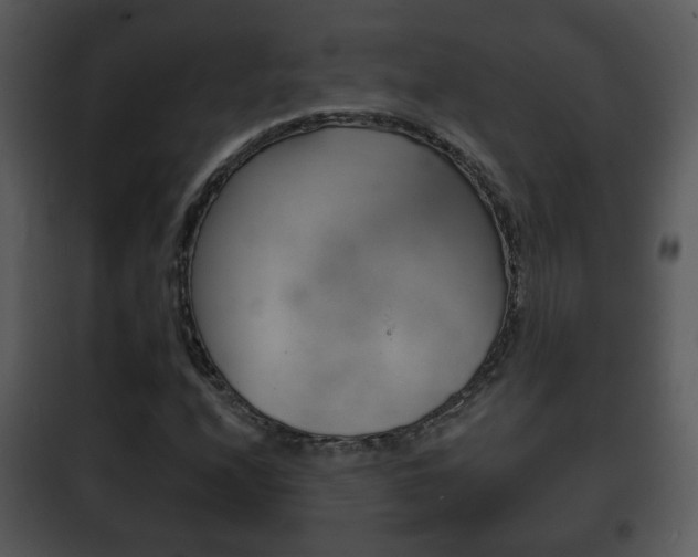 X0000101981208200807180752