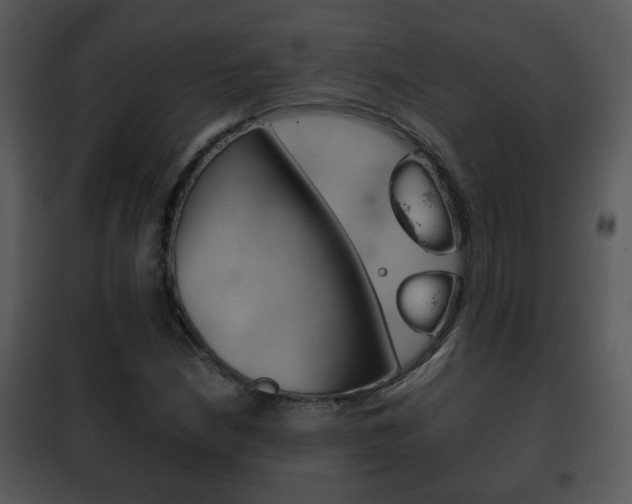 X0000101981210200807180752