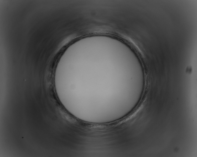 X0000101981211200807180752
