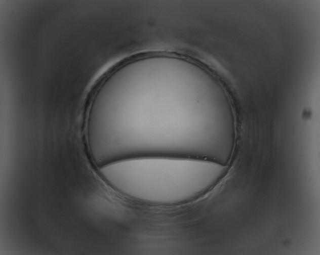 X0000101981216200807180752