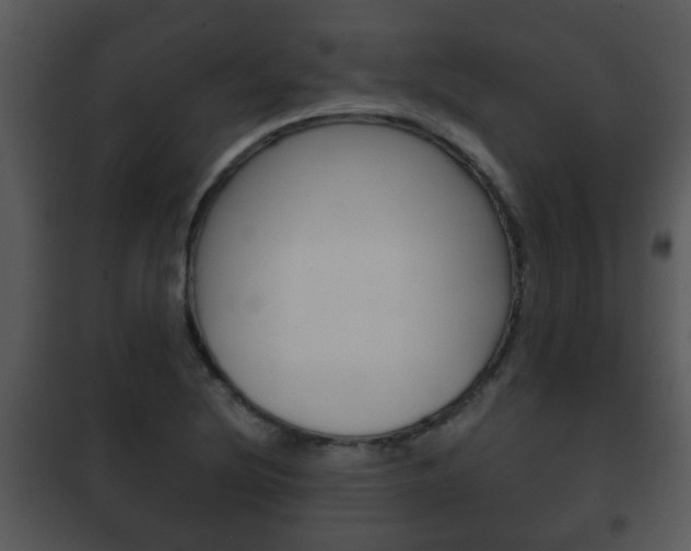 X0000101981220200807180752