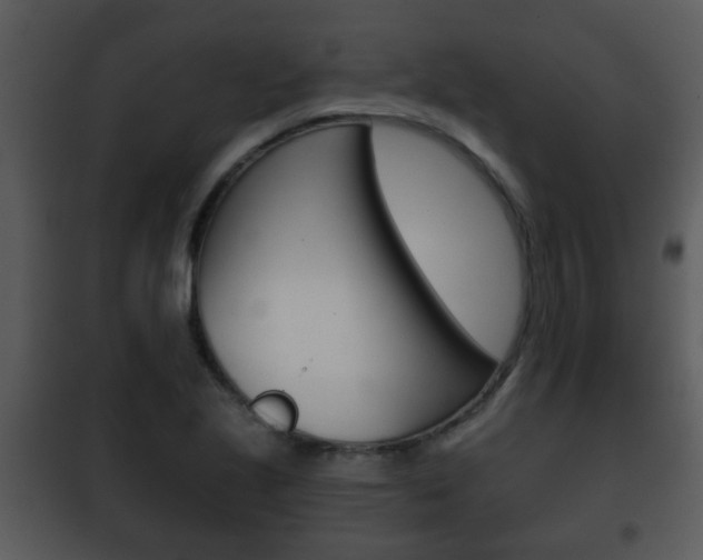 X0000101981221200807180752