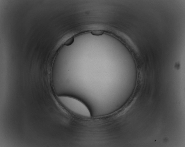 X0000101981225200807180752