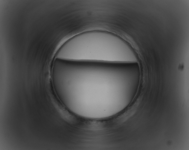 X0000101981226200807180752