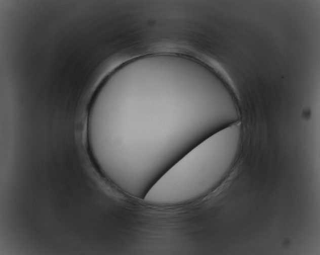 X0000101981227200807180752