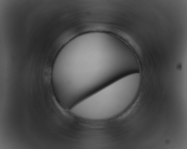 X0000101981233200807180752