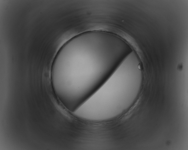 X0000101981234200807180752