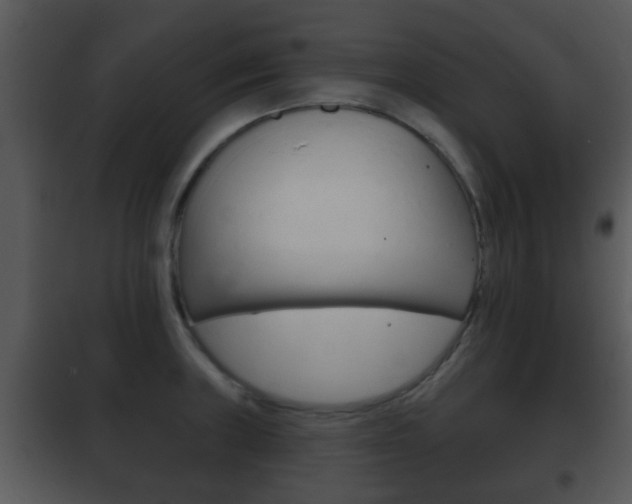 X0000101981235200807180752
