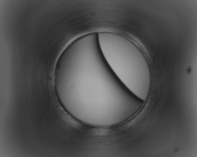 X0000101981236200807180752