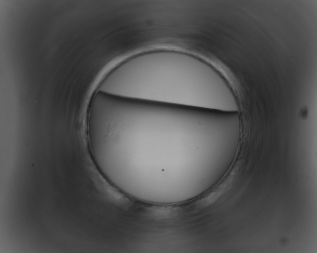 X0000101981240200807180752