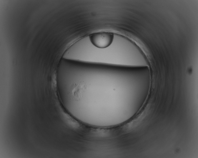 X0000101981241200807180752