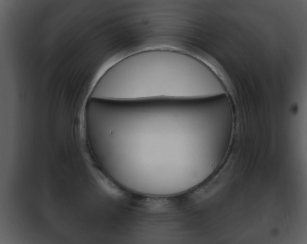 X0000101981242200807180752