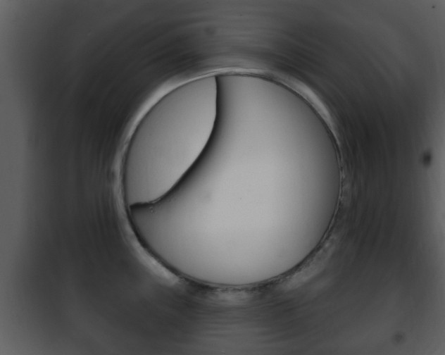 X0000101981243200807180752