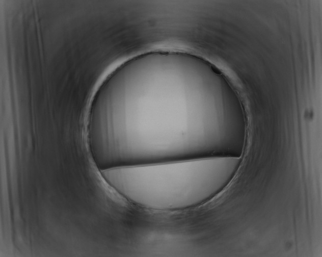 X0000101981248200807180753