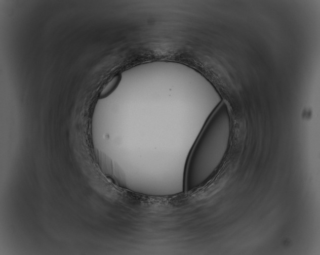 X0000101981249200807180752