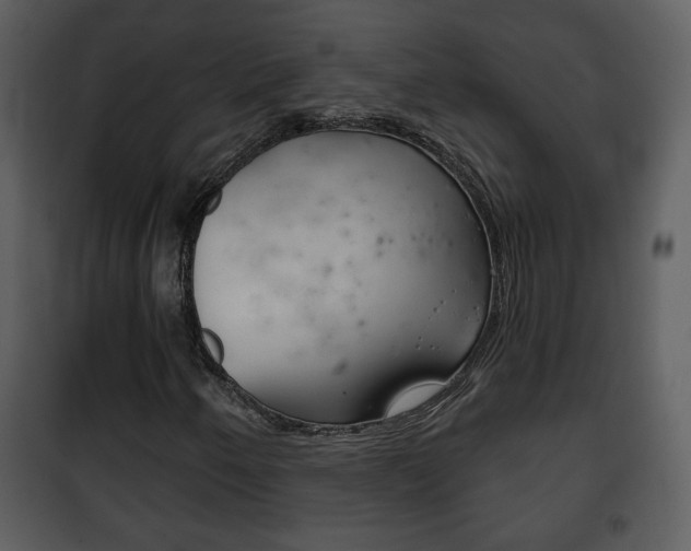 X0000101981250200807180752