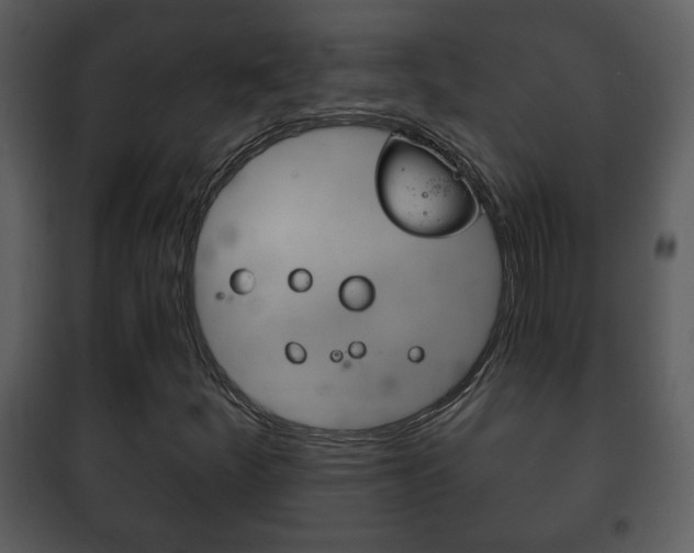 X0000101981252200807180752