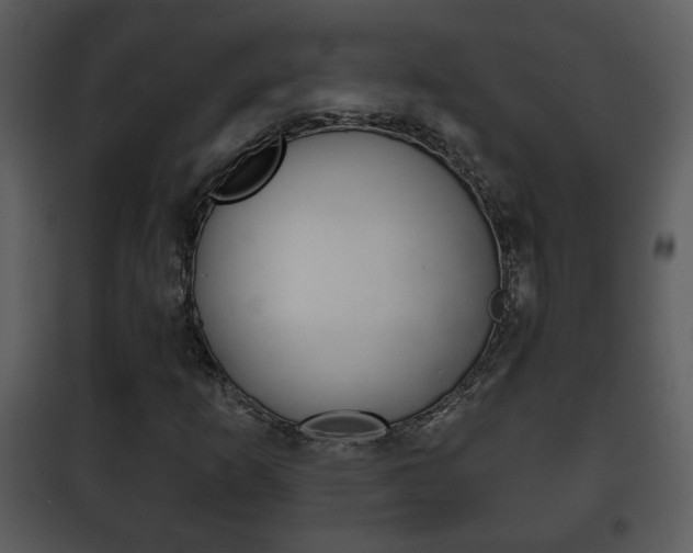 X0000101981253200807180752
