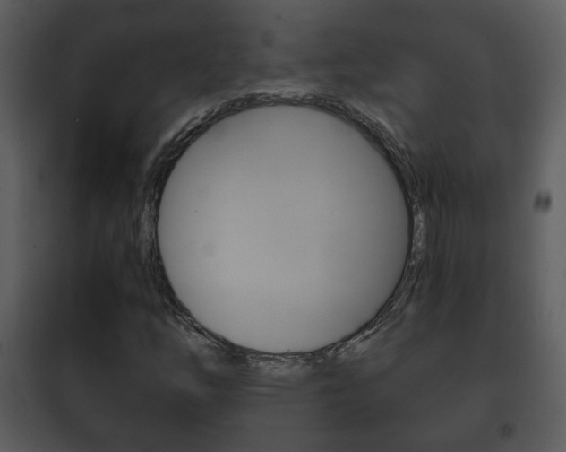X0000101981254200807180752