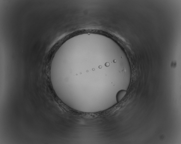 X0000101981255200807180752