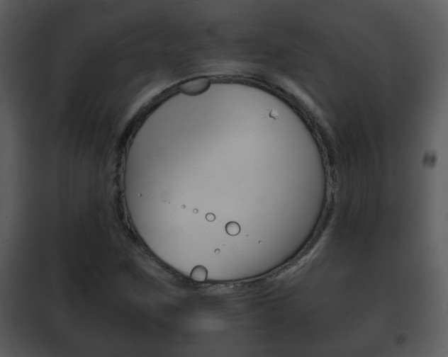 X0000101981259200807180752