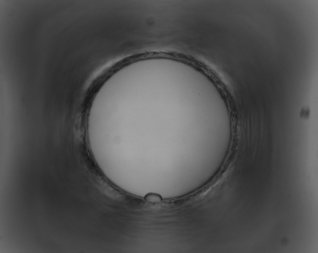 X0000101981262200807180751