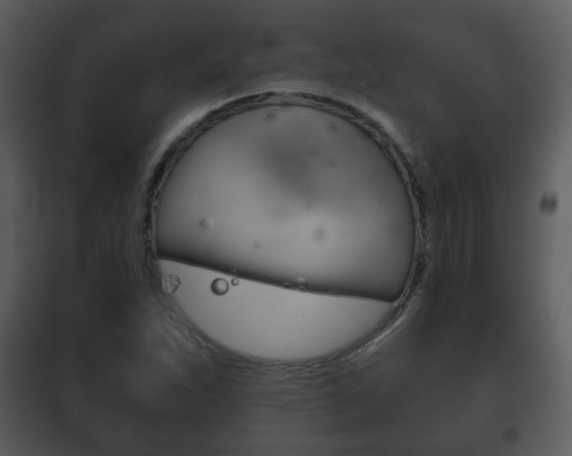 X0000101981263200807180751