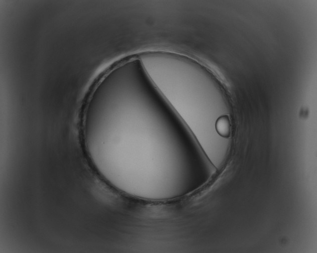X0000101981264200807180751