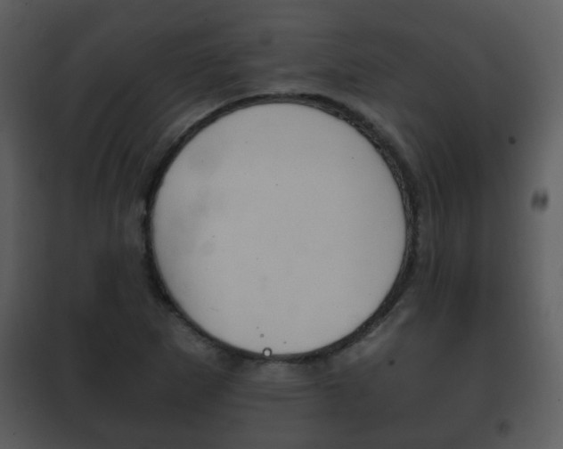 X0000101981265200807180751