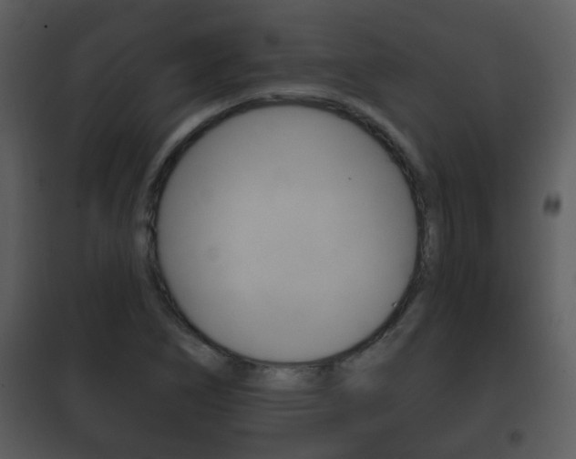 X0000101981266200807180751