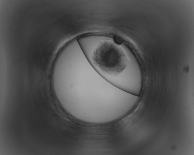 X0000101981267200807180751