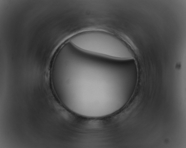 X0000101981268200807180751