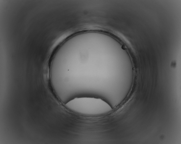 X0000101981269200807180751