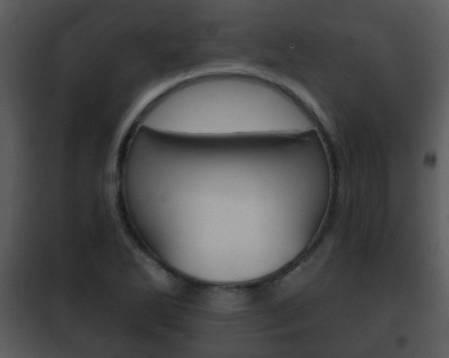 X0000101981270200807180751