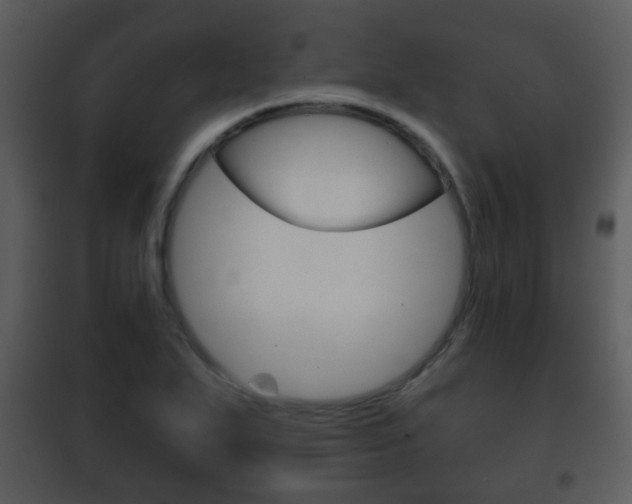 X0000101981271200807180751