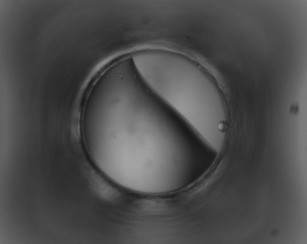 X0000101981272200807180751