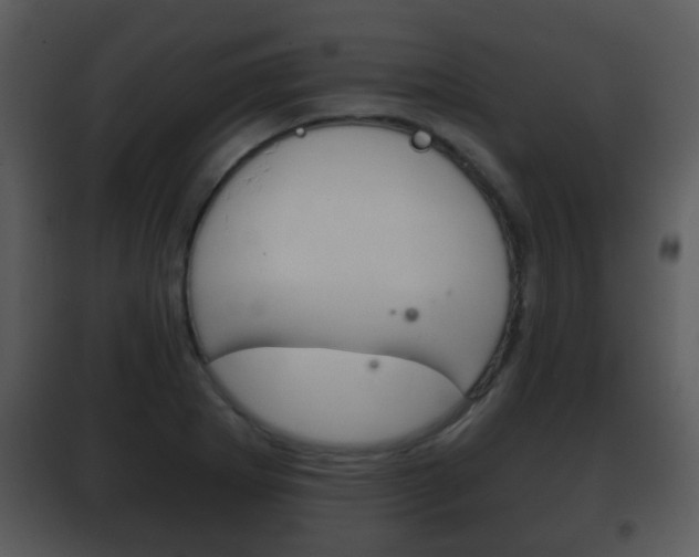 X0000101981273200807180751