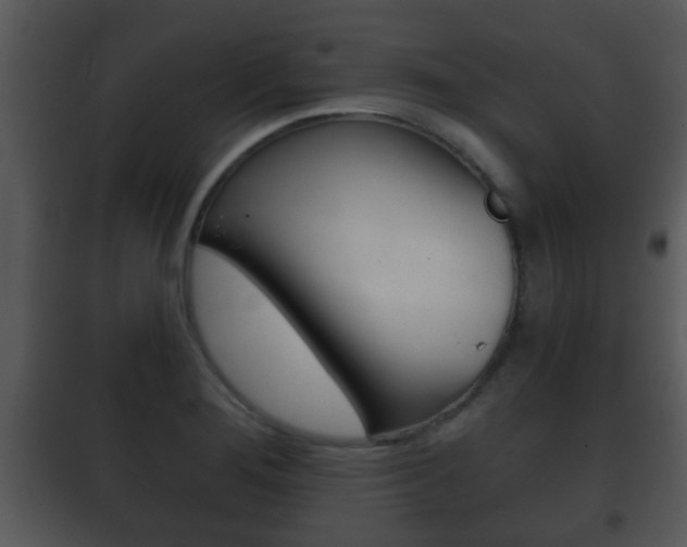 X0000101981276200807180751