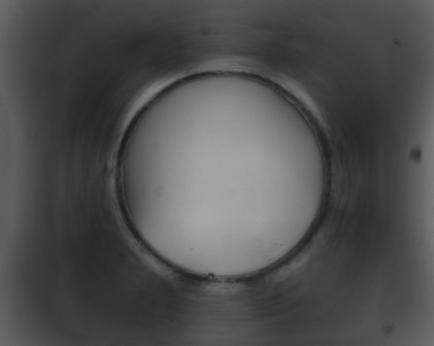 X0000101981277200807180751