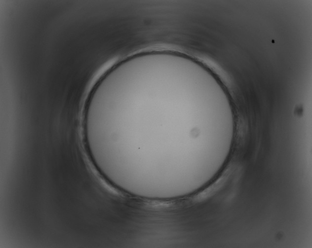 X0000101981278200807180751