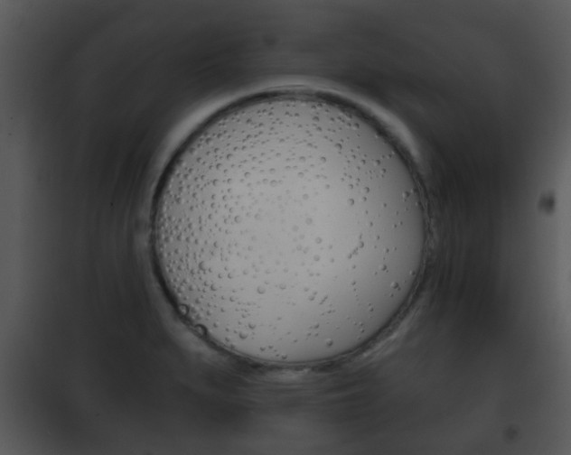 X0000101981279200807180751