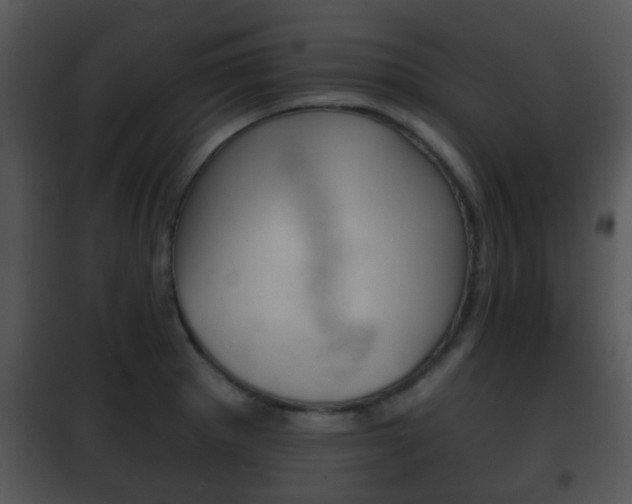 X0000101981281200807180751