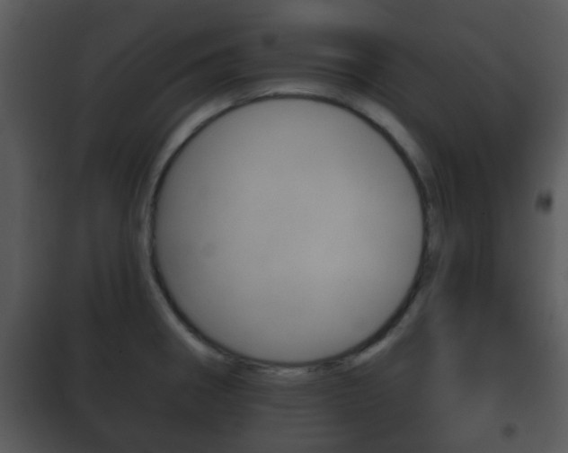 X0000101981282200807180751